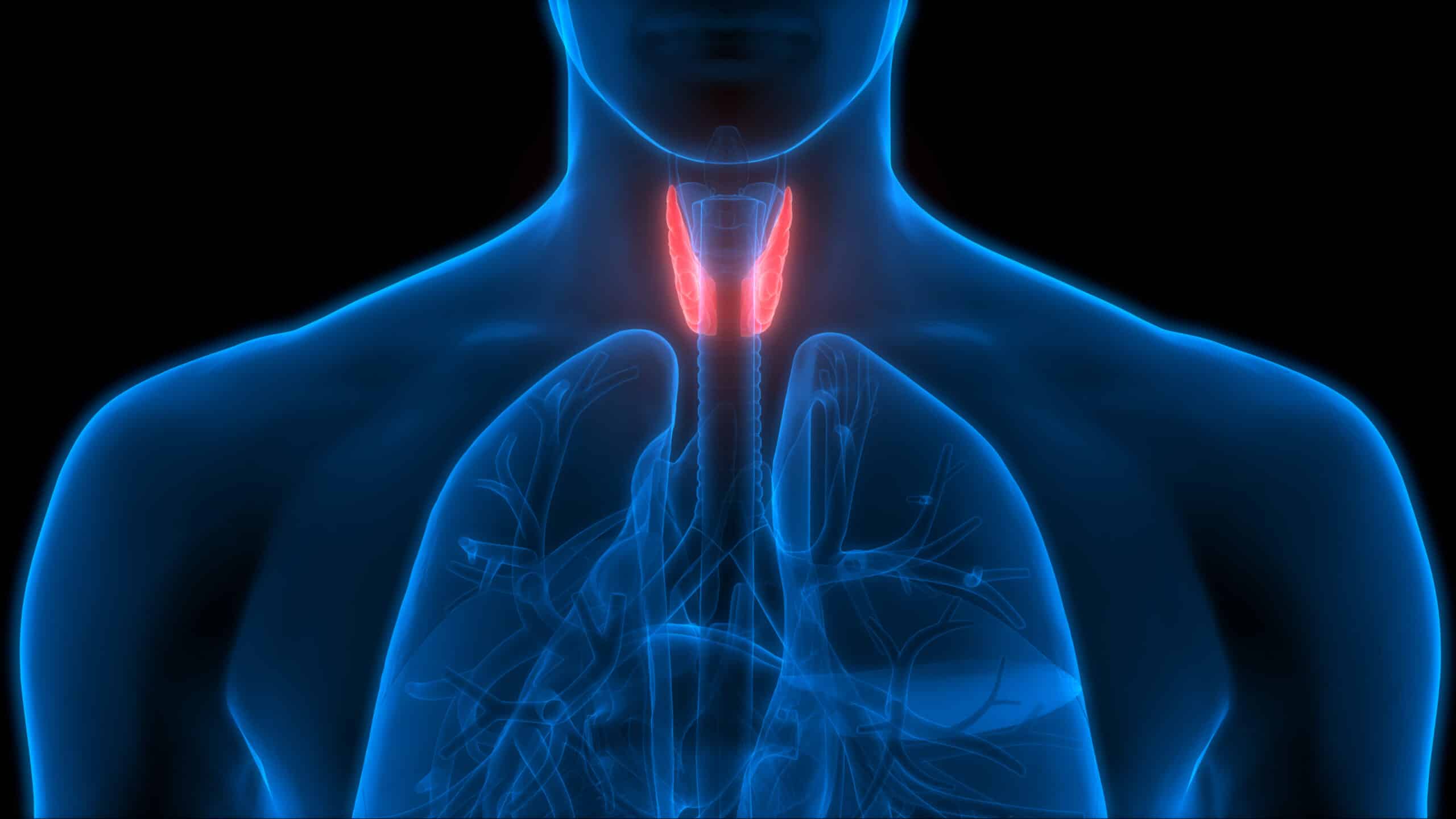 January is Thyroid Awareness Month: Here’s What You Should Know